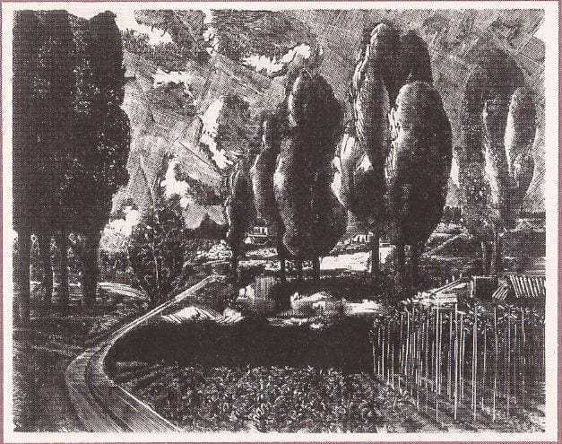 1984 Roland DE WINTER