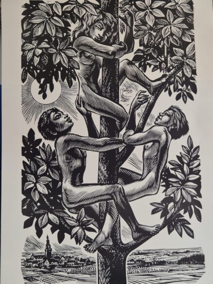 1981 Frank Ivo VAN DAMME